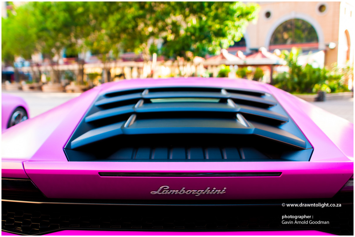 drawntolight pink Lamborghini by Gavin Arnold Goodman